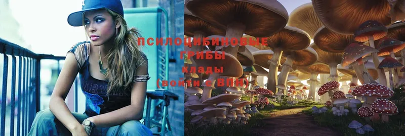 Галлюциногенные грибы MAGIC MUSHROOMS  купить наркотик  Россошь 